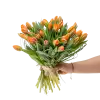 Kytice  tulipánů